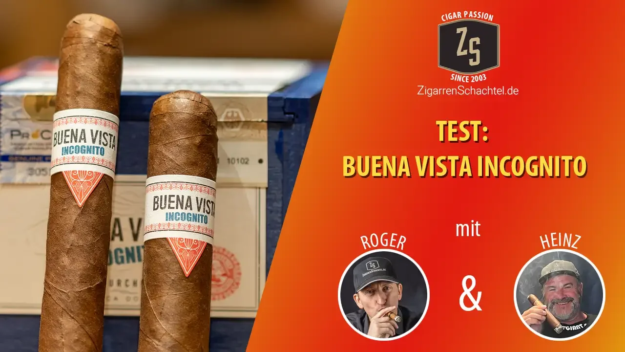 Test der Buena Vista Incognito Zigarren