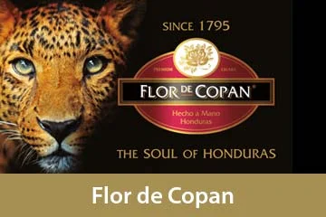 Flor de Copan Zigarren