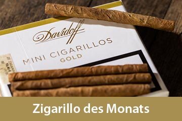 Zigarillo des Monats - Davidoff Mino Gold Cigarillos