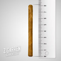 Jacob van Meer Mini Zigarillos