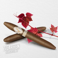 Davidoff Grand Cru Diademas Finas Limited Edition einzeln