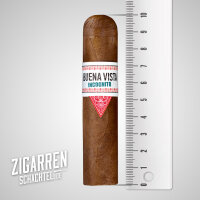 Buena Vista Incognito Short Robusto einzeln