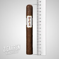 Dalay Nicaragua Toro einzeln