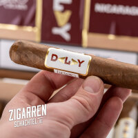 Dalay Nicaragua Toro einzeln