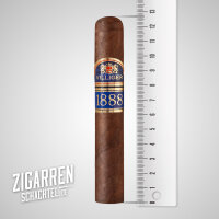 Villiger 1888 Nicaragua Robusto einzeln