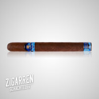 Villiger de Nicaragua Gran Churchill Limitada 2024