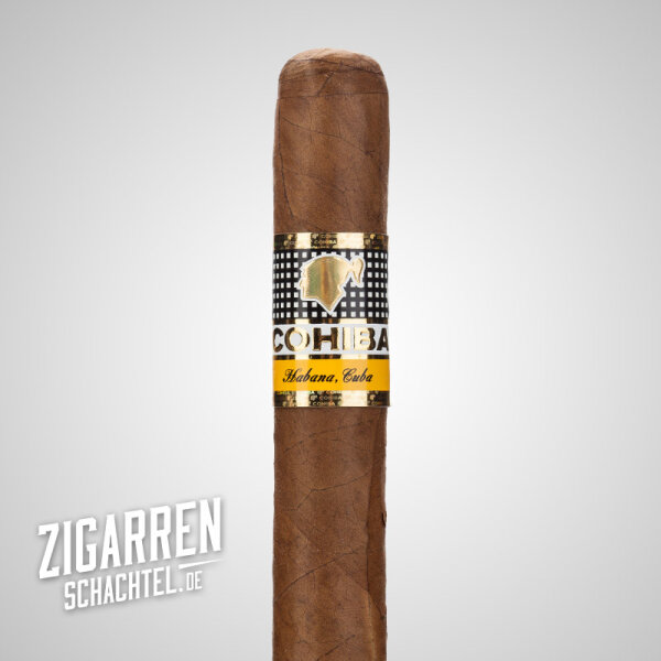 Cohiba Siglo II einzeln