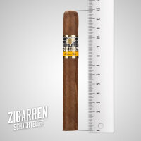 Cohiba Siglo II einzeln