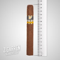 Cohiba Siglo VI einzeln