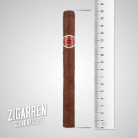 Romeo y Julieta Churchills einzeln