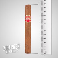 Partagas Mille Fleurs einzeln