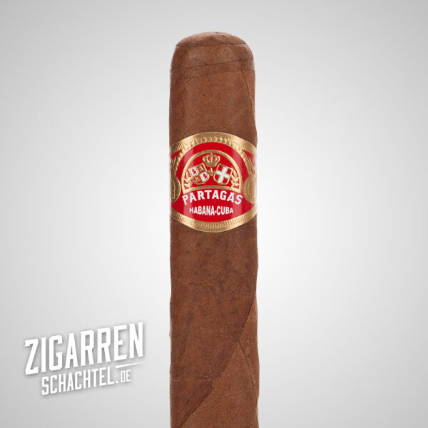 Partagas Shorts einzeln