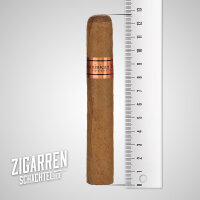 Dominican Estates Robusto einzeln