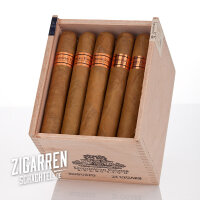 Dominican Estates Robusto einzeln