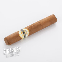 Dominico Robusto einzeln