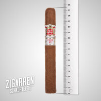 Hoyo de Monterrey Epicure No. 1 einzeln