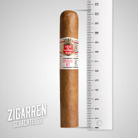 Hoyo de Monterrey Epicure No. 2 einzeln