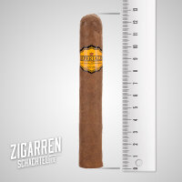 Imperiales Robusto einzeln