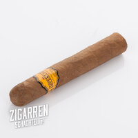 Imperiales Robusto einzeln