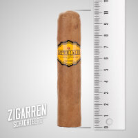 Imperiales Short Robusto einzeln