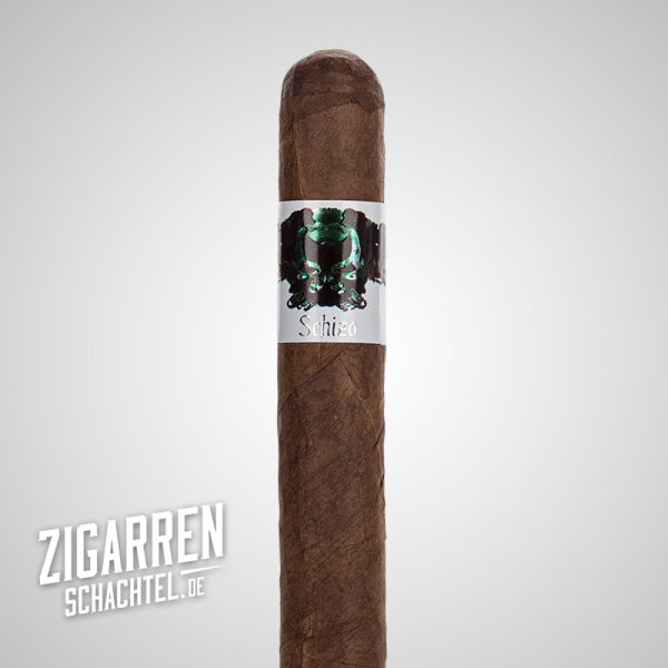 Asylum Schizo Robusto einzeln