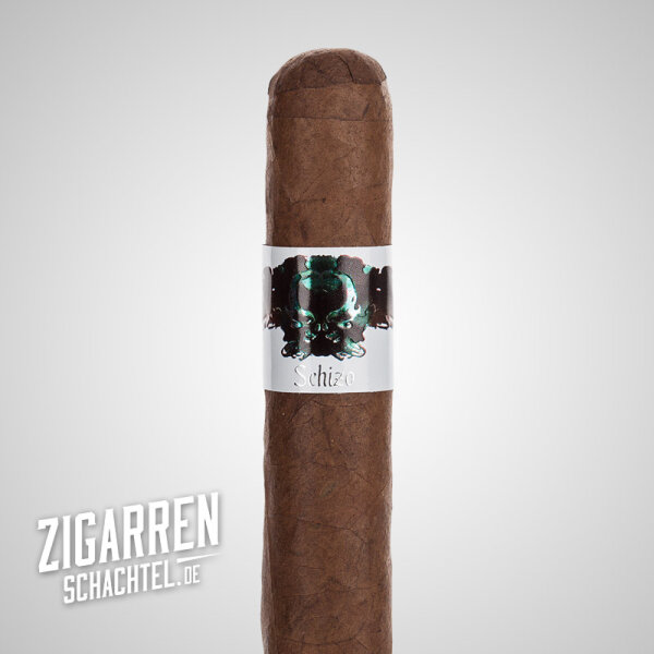 Asylum Schizo Toro Gordo 20er Bundle (3% Kistenrabatt)