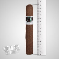 Asylum Schizo Toro Gordo 20er Bundle (3% Kistenrabatt)