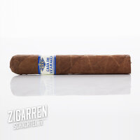 Casa de Nicaragua Robusto einzeln