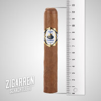 Casa de Torres Robusto einzeln