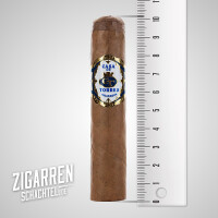 Casa de Torres Short Robusto einzeln