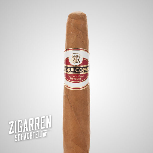 Flor de Copan Classic Gordito einzeln