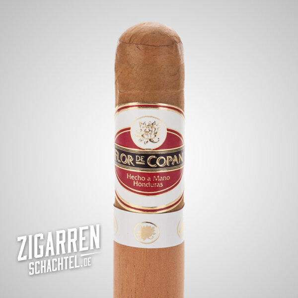 Flor de Copan Classic Short Robusto einzeln