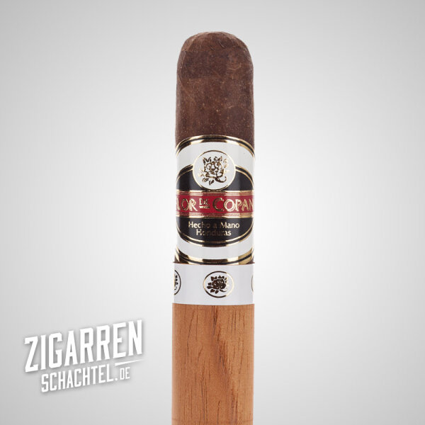 Flor de Copan Maduro Churchill einzeln