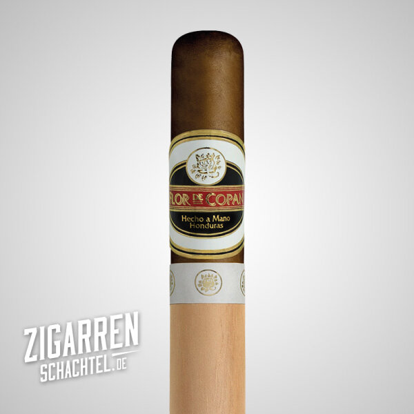 Flor de Copan Maduro Rothschild einzeln