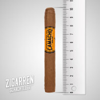 Camacho Connecticut Machitos einzeln