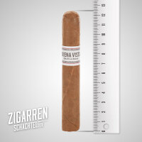 Buena Vista Robusto einzeln