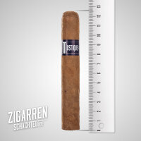 Mustique Blue Robusto einzeln