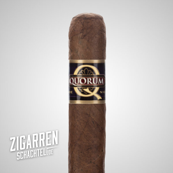 Quorum Classic Robusto einzeln