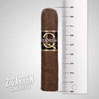 Quorum Classic Short Robusto einzeln