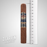 Casa Turrent Serie 1973 Robusto Natural einzeln