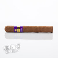 Don Tomas Bundles Nic Robusto einzeln