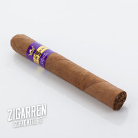 Don Tomas Bundles Nic Robusto 10er Bundle (3% Kistenrabatt)