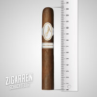 Davidoff Millennium Robusto einzeln