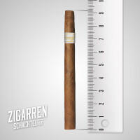 Davidoff Signature Exquisitos einzeln