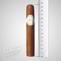 The Griffins Gran Robusto