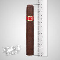 Daniel Marshall DM2 Red Series Robusto einzeln