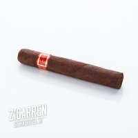 Daniel Marshall DM2 Red Series Robusto einzeln