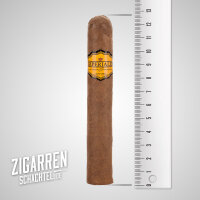 Imperiales Robusto