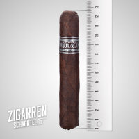 Horacio Maduro HM V Robusto einzeln