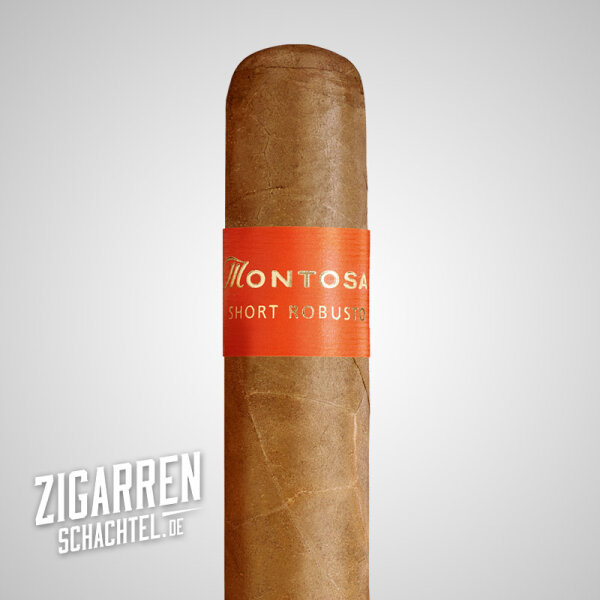 Montosa Short Robusto einzeln